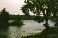 Colour film photo of a lake up in Port Severn. It's very overcast and the trees came out very dark.