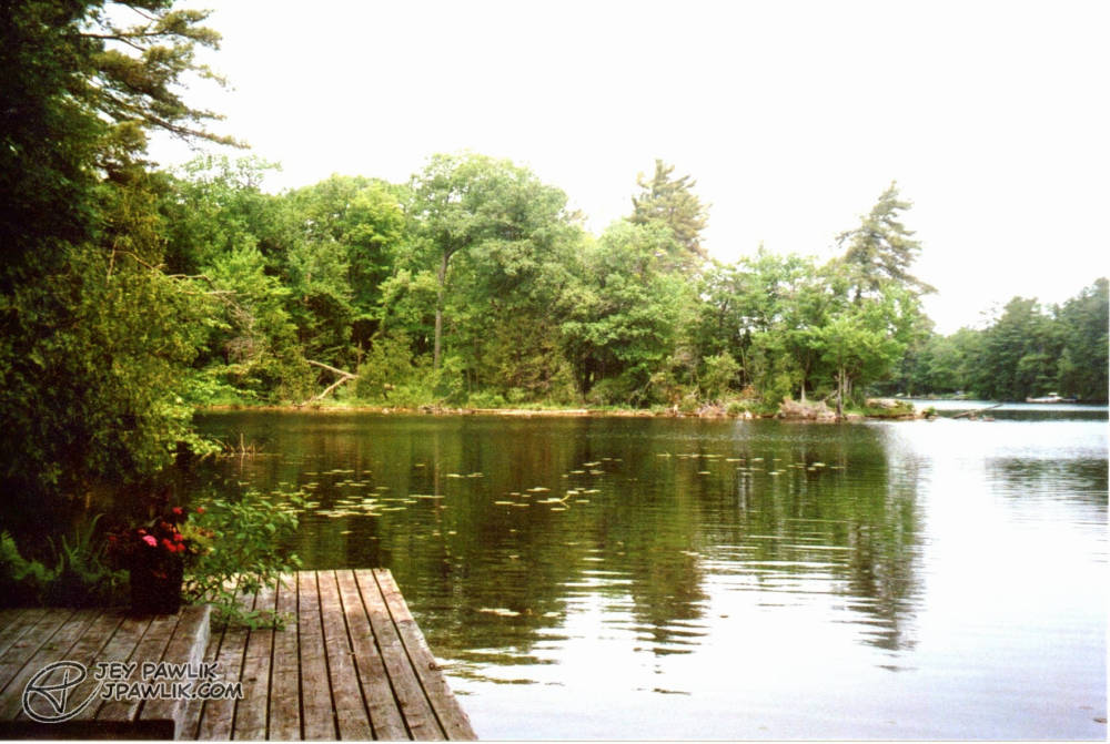 Colour film photo of a dock and a lake.