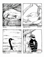 Four inked illustrations on one image, each with the name of the bird and the date I saw them. A mallard duck in the water framed nicely by winding tree trunks on April 8, 2024. A Carolina wren with one foot on the ground and the other on a branch on April 8, 2024. A Canadian goose with just it's neck and head coming out from behind a log with water in the background on April 8, 2024. A downy woodpecker clinging to a tree trunk on April 8, 2024.