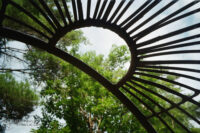 Colour film photo from the inside of an outdoor egg chair, looking up the trees are visible from the slats in the chair.