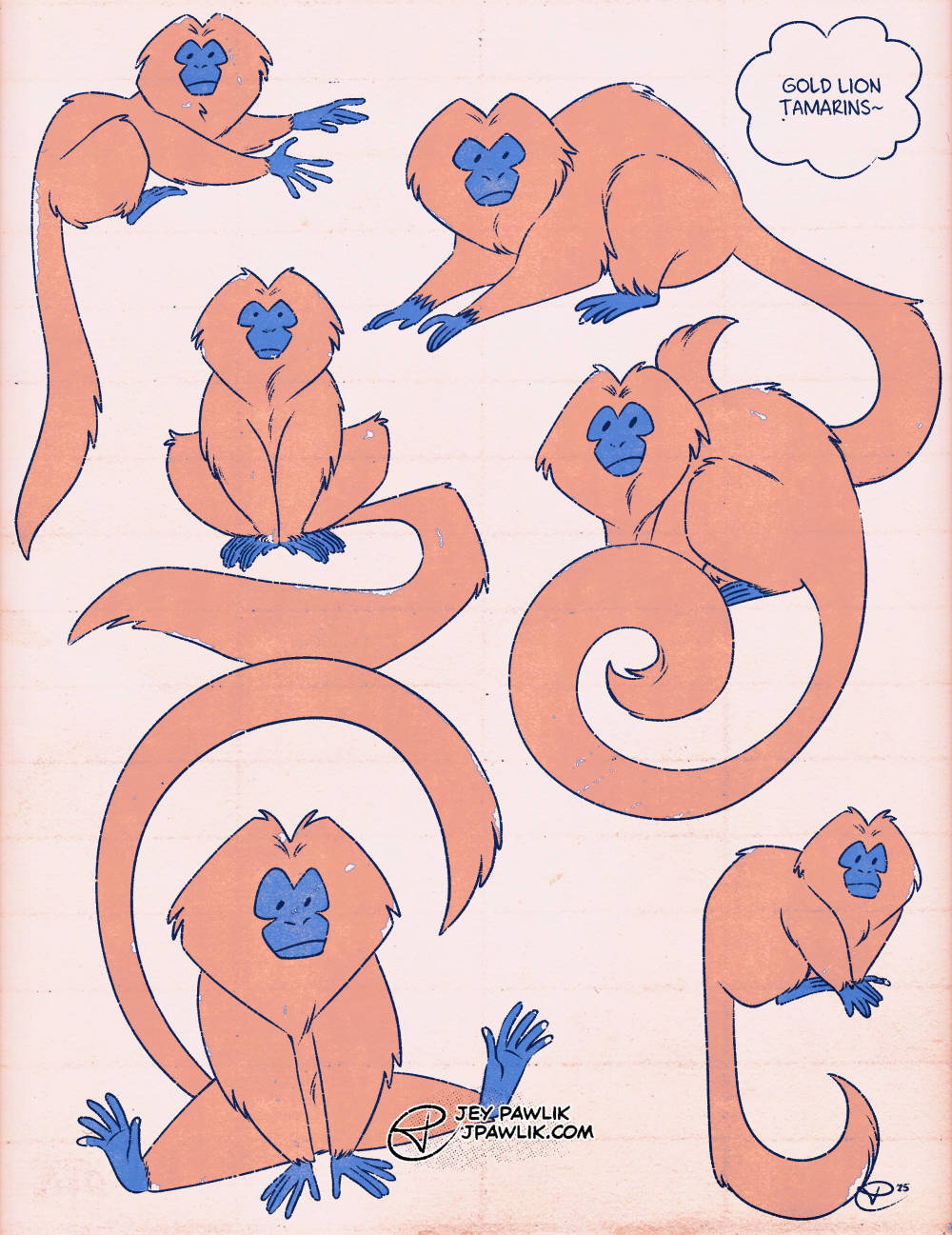 A page of digital illustrations of "Golden Lion Tamarins", little orange monkeys with blue faces in various sitting and climbing poses.