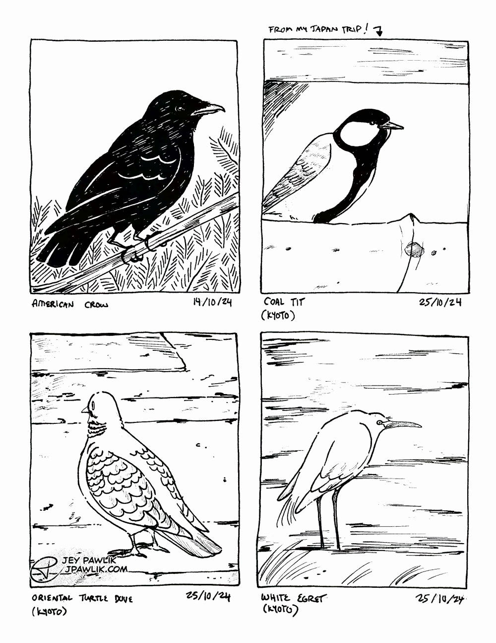 Birds I Saw – 10 Birds I Saw – 10