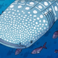 2024, Swim On 10 Cover