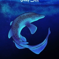 2019, Swim On 5 Cover