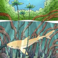 2023, Swim On 9 Cover