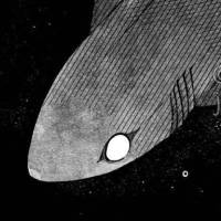 2022, Big Eyed Tiger Shark