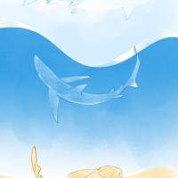 2022, Great White, Blue and Angel Sharks